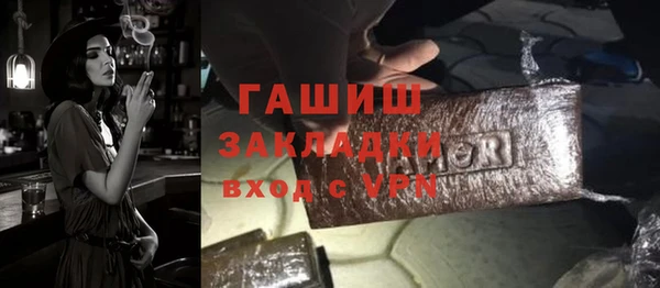 шишки Гусиноозёрск