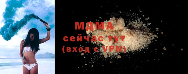 шишки Гусиноозёрск