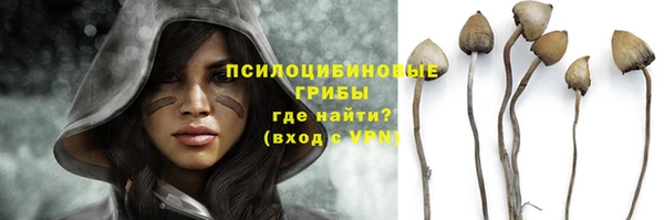 мяу мяу мука Гусев