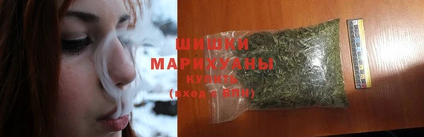 шишки Гусиноозёрск
