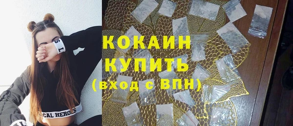 мяу мяу мука Гусев