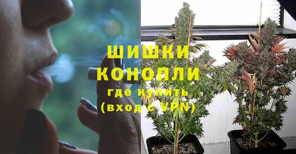 шишки Гусиноозёрск