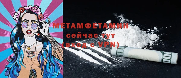 шишки Гусиноозёрск