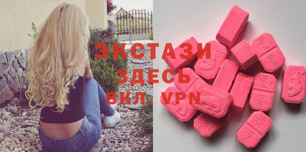 шишки Гусиноозёрск