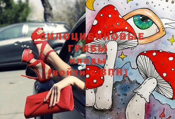 шишки Гусиноозёрск