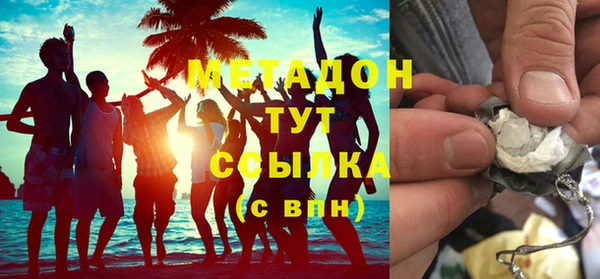 шишки Гусиноозёрск