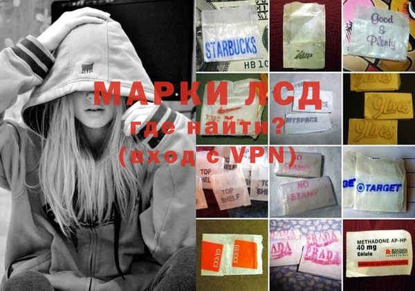мяу мяу мука Гусев