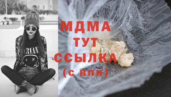 шишки Гусиноозёрск