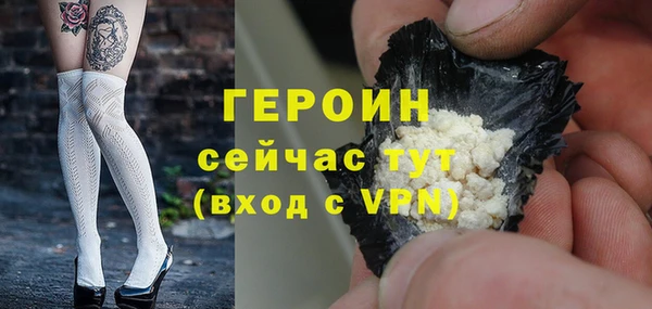 шишки Гусиноозёрск