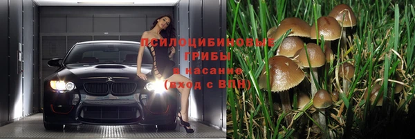 герыч Гусь-Хрустальный