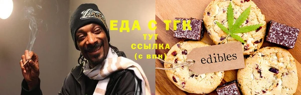 шишки Гусиноозёрск